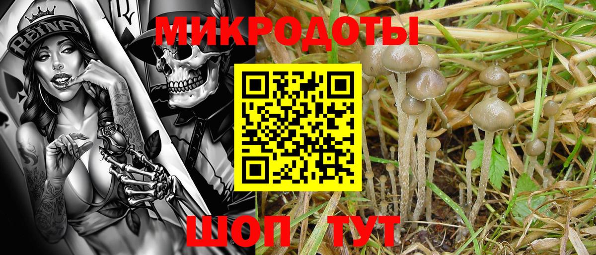 Псилоцибиновые грибы Magic Shrooms Апрелевка