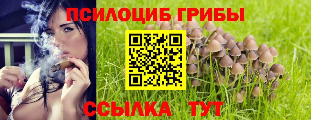 Псилоцибиновые грибы мицелий  Псилоцибиновые грибы GOLDEN TEACHER  Вход с VPN  Апрелевка 